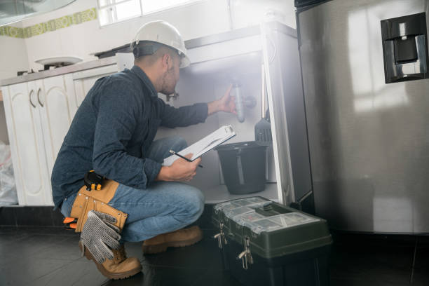Best Plumbing Installation Services  in Chesaning, MI