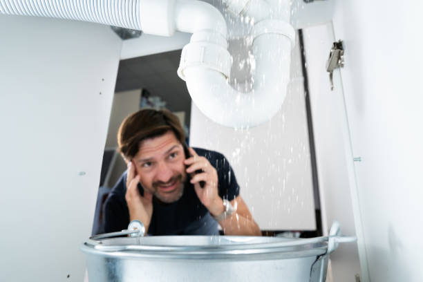 Best Affordable Plumber Near Me  in Chesaning, MI
