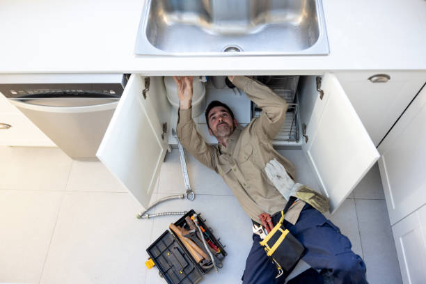 Best 24-Hour Plumber Near Me  in Chesaning, MI