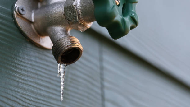 Best Plumbing Installation Services  in Chesaning, MI