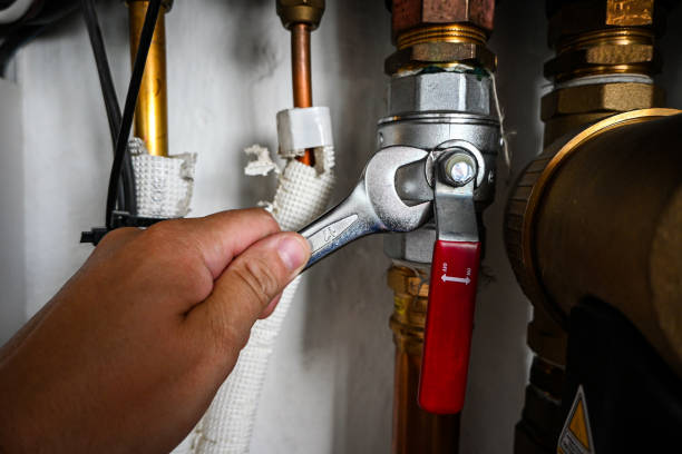 Best Pipe Repair Near Me  in Chesaning, MI